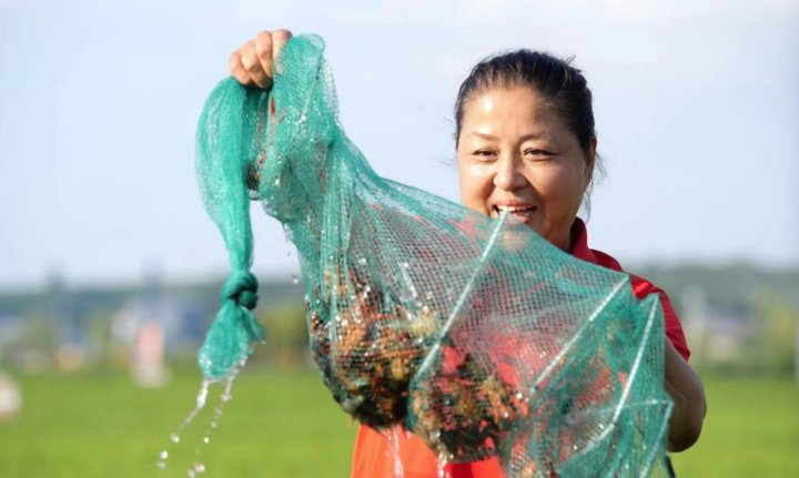  黑土地上青春回流；三位书记诚邀青年返乡；正逢其时干事创业。 文化旅游 黑土地上青春回流；三位书记诚邀青年返乡；正逢其时干事创业。 文化旅游