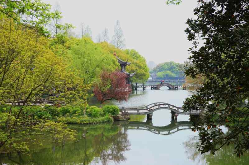  从西湖变迁看为民初心；免费开放历程，彰显公仆担当。 文化旅游 从西湖变迁看为民初心；免费开放历程，彰显公仆担当。 文化旅游