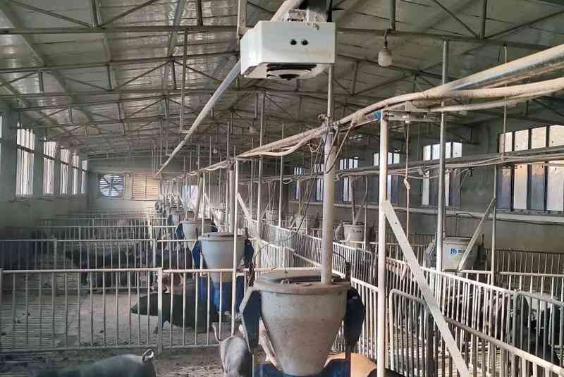 养殖户的阵痛时刻:穿越市场周期的突围策略 企业服务