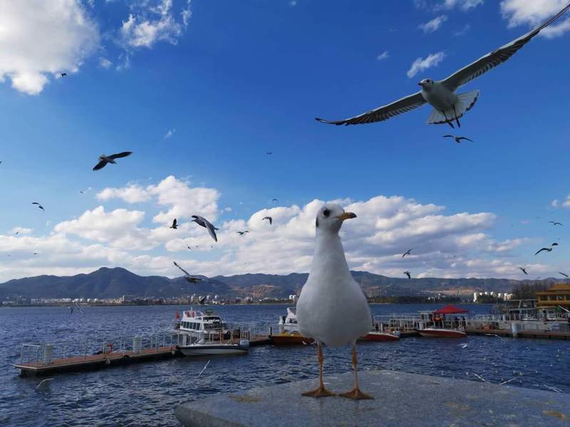  为何结婚热潮重回视野？深度解析婚姻登记增长背后的社会逻辑 情感心理 为何结婚热潮重回视野？深度解析婚姻登记增长背后的社会逻辑 情感心理