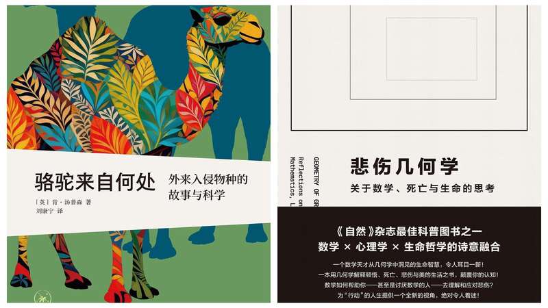  从龙与地下城到算法牢笼：电子游戏怪物的媒介考古学 IT技术