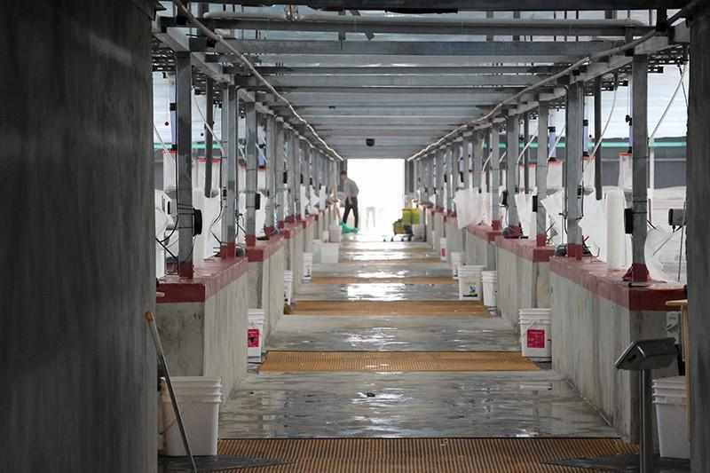  一百天！内陆养虾的技术破局与规模跃迁 新闻