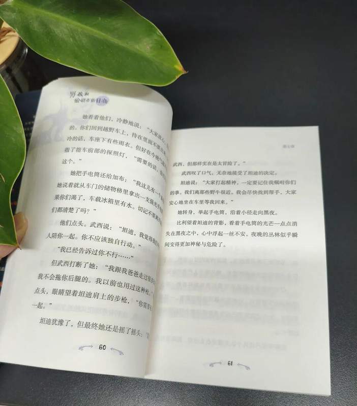  《男孩和偷猎者的月亮》：克鲁格国家公园生态保护的技术拆解与叙事结构分析 文化旅游