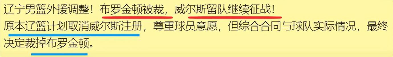  辽篮五外援困局深度解析：布罗金顿主动离队的战术逻辑与阵容博弈 体育新闻