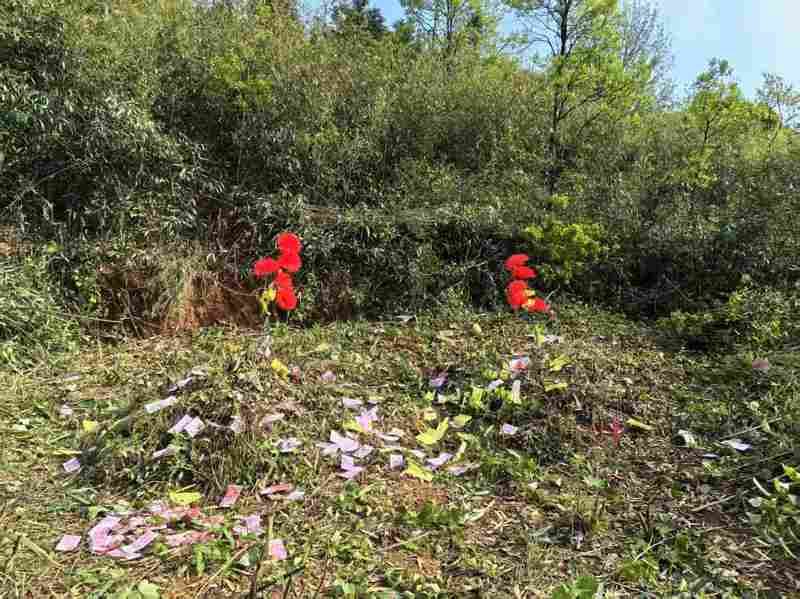  清明祭祖行为研究：多山地形16座墓穴的完整祭扫方案设计 文化旅游 清明祭祖行为研究：多山地形16座墓穴的完整祭扫方案设计 文化旅游