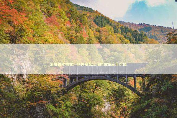 深度技术探究：软件安装流程的独特应用价值