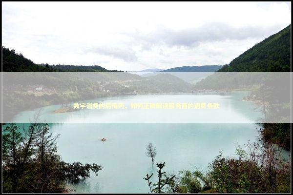 数字消费的后悔药,如何正确解读服务商的退费条款 数字消费的后悔药,如何正确解读服务商的退费条款 企业服务