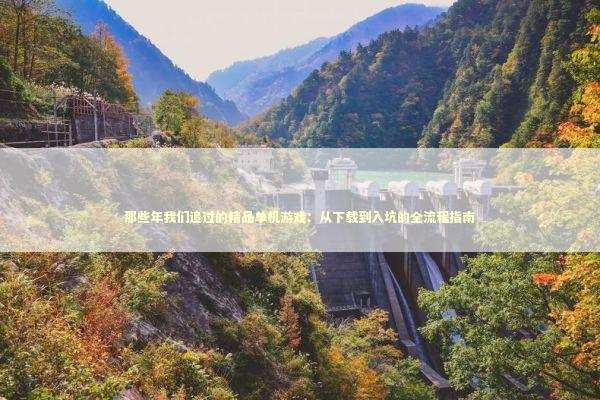 那些年我们追过的精品单机游戏：从下载到入坑的全流程指南 游戏攻略