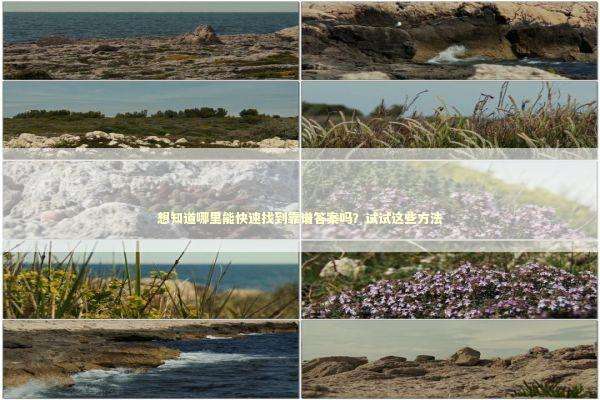想知道哪里能快速找到靠谱答案吗？试试这些方法