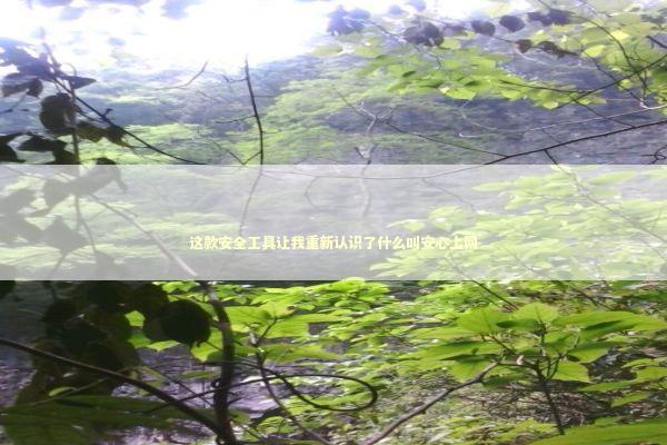 这款安全工具让我重新认识了什么叫安心上网 IT技术