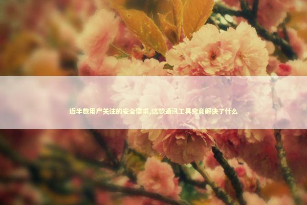 近半数用户关注的安全需求,这款通讯工具究竟解决了什么 IT技术