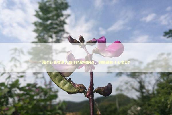 那个让无数潮人疯狂的秘密据点，到底藏着什么宝贝？ 时尚用品