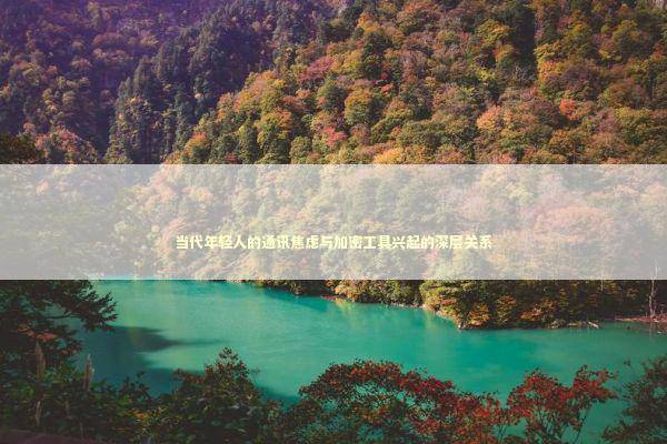 当代年轻人的通讯焦虑与加密工具兴起的深层关系 IT技术