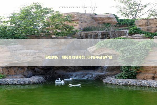 深度解析：如何高效使用知识问答平台客户端 IT技术
