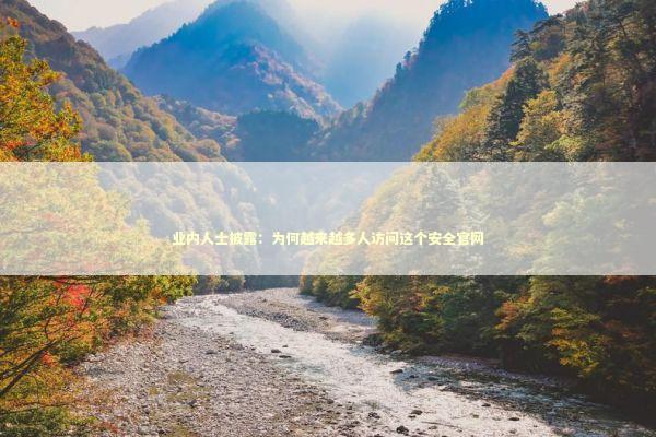 业内人士披露：为何越来越多人访问这个安全官网 IT技术