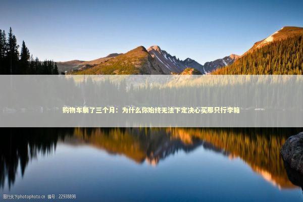 购物车躺了三个月：为什么你始终无法下定决心买那只行李箱 情感心理