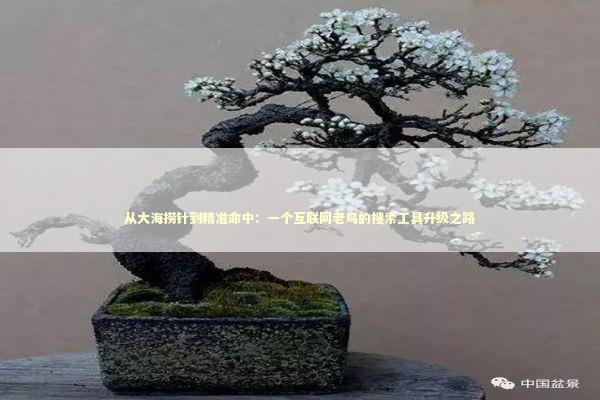 从大海捞针到精准命中：一个互联网老鸟的搜索工具升级之路 IT技术