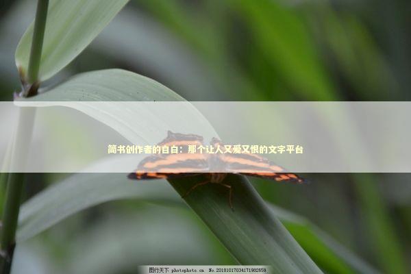 简书创作者的自白：那个让人又爱又恨的文字平台 文化旅游